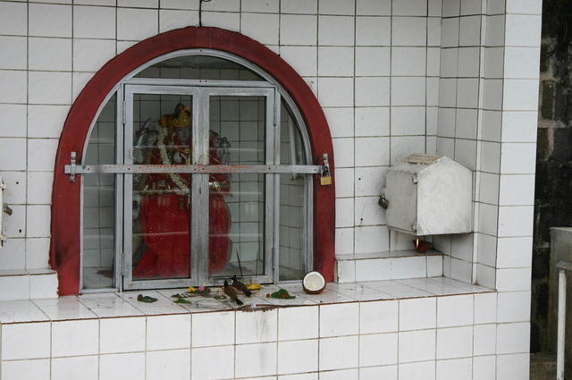 Ofrendas de comida y pájaros