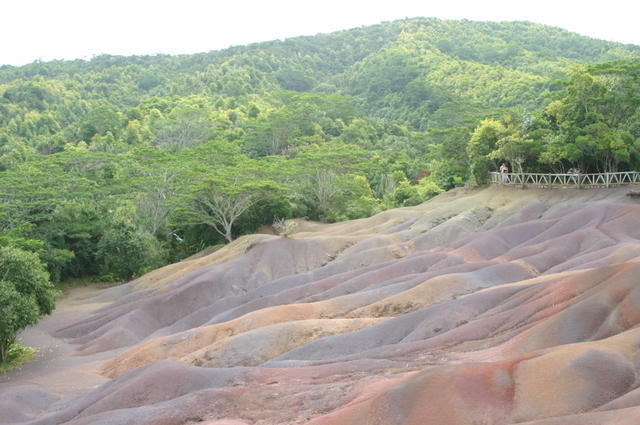 Colores bajo la selva