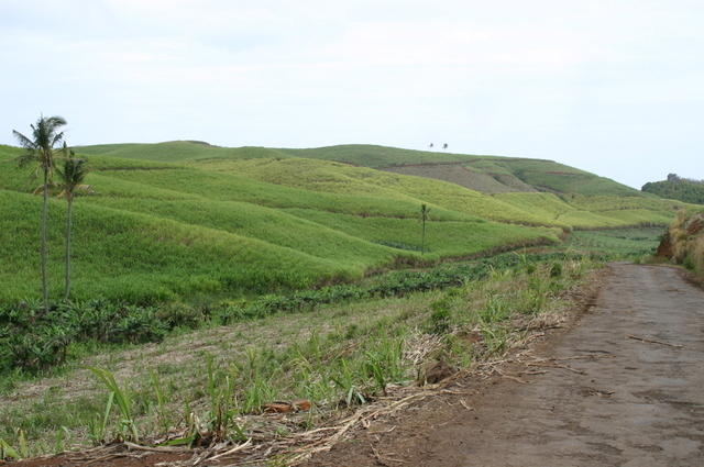 Caminito Mauricio