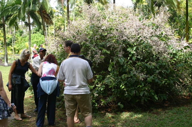 Jardín Botánico