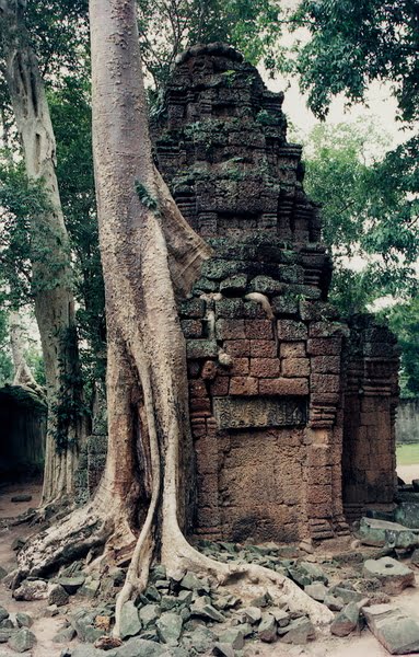 Ta Prohm