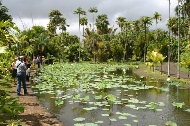 Lago Pamplemousses