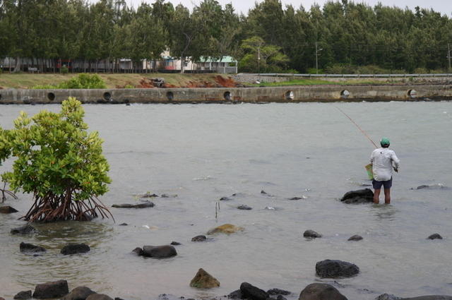 Pescando en el manglar