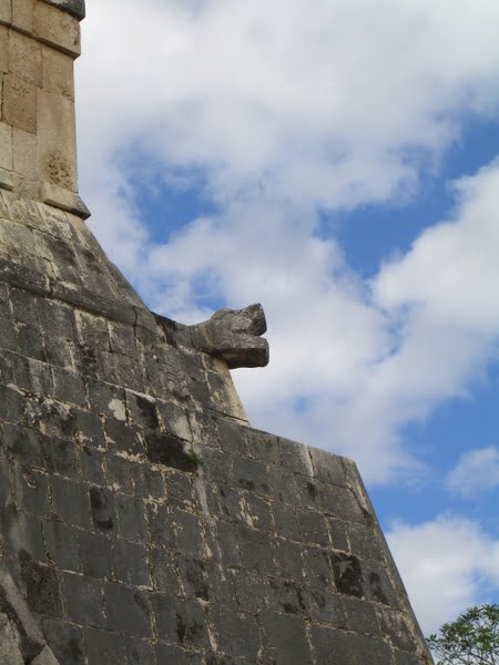 Cabeza de serpiente